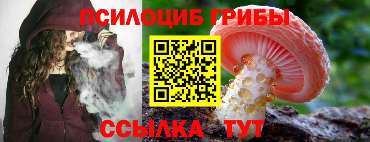 Видное  Псилоцибиновые грибы MAGIC MUSHROOMS  Псилоцибиновые грибы прущие грибы  Вход с VPN 