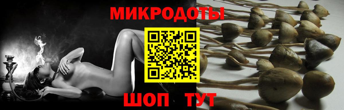 Галлюциногенные грибы ЛСД Видное